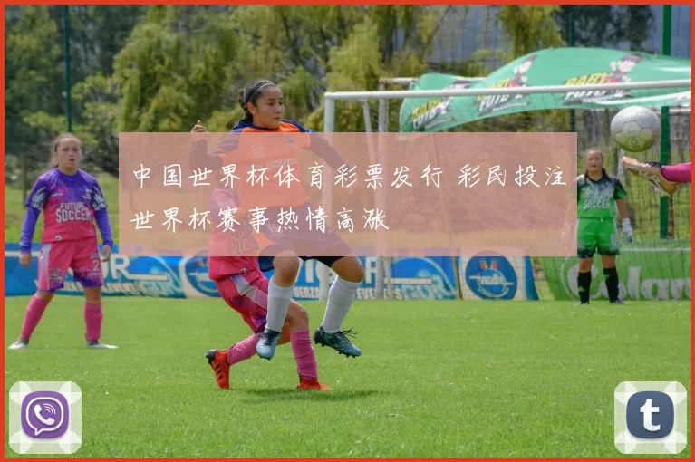 中国世界杯体育彩票发行 彩民投注世界杯赛事热情高涨