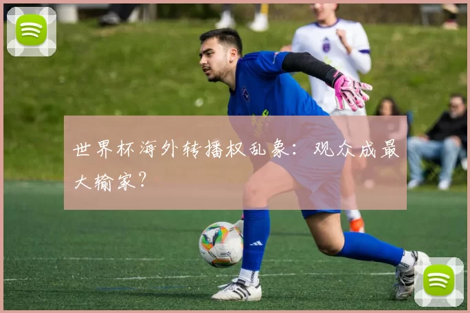 世界杯海外转播权乱象：观众成最大输家？