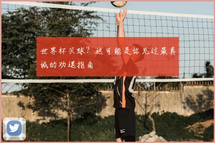 世界杯买球？这可能是你见过最真诚的劝退指南
