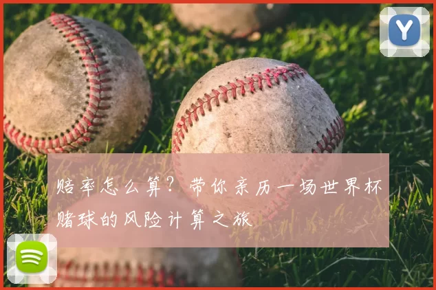 赔率怎么算？带你亲历一场世界杯赌球的风险计算之旅
