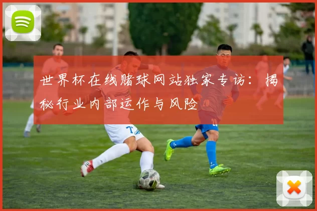 世界杯在线赌球网站独家专访：揭秘行业内部运作与风险