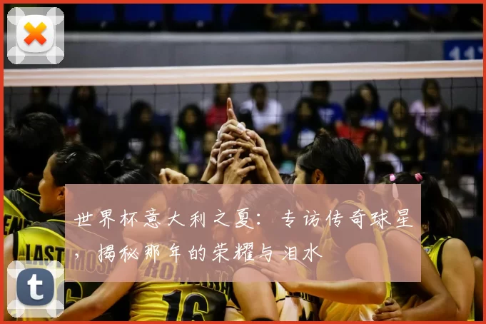 世界杯意大利之夏：专访传奇球星，揭秘那年的荣耀与泪水