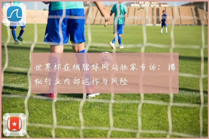 世界杯在线赌球网站独家专访：揭秘行业内部运作与风险