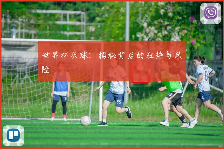 世界杯买球：揭秘背后的狂热与风险